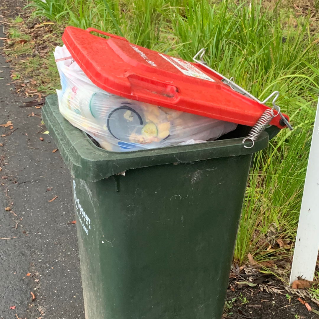 Bin M8 Stainless Steel - Keep Wheelie Bin Lids Closed. Australian Made ...